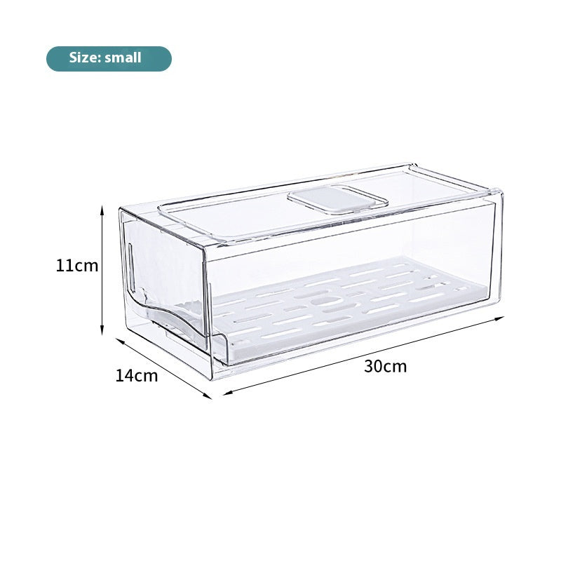 Blissful Refrigerator Storage Drawer Crisper